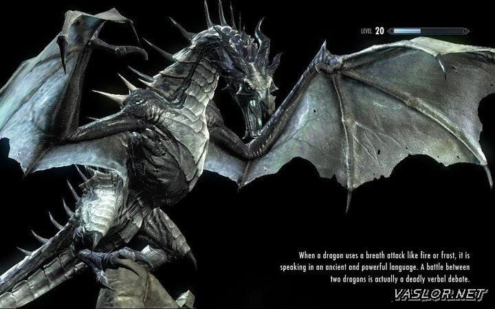 용 끼리 싸울 때에는...