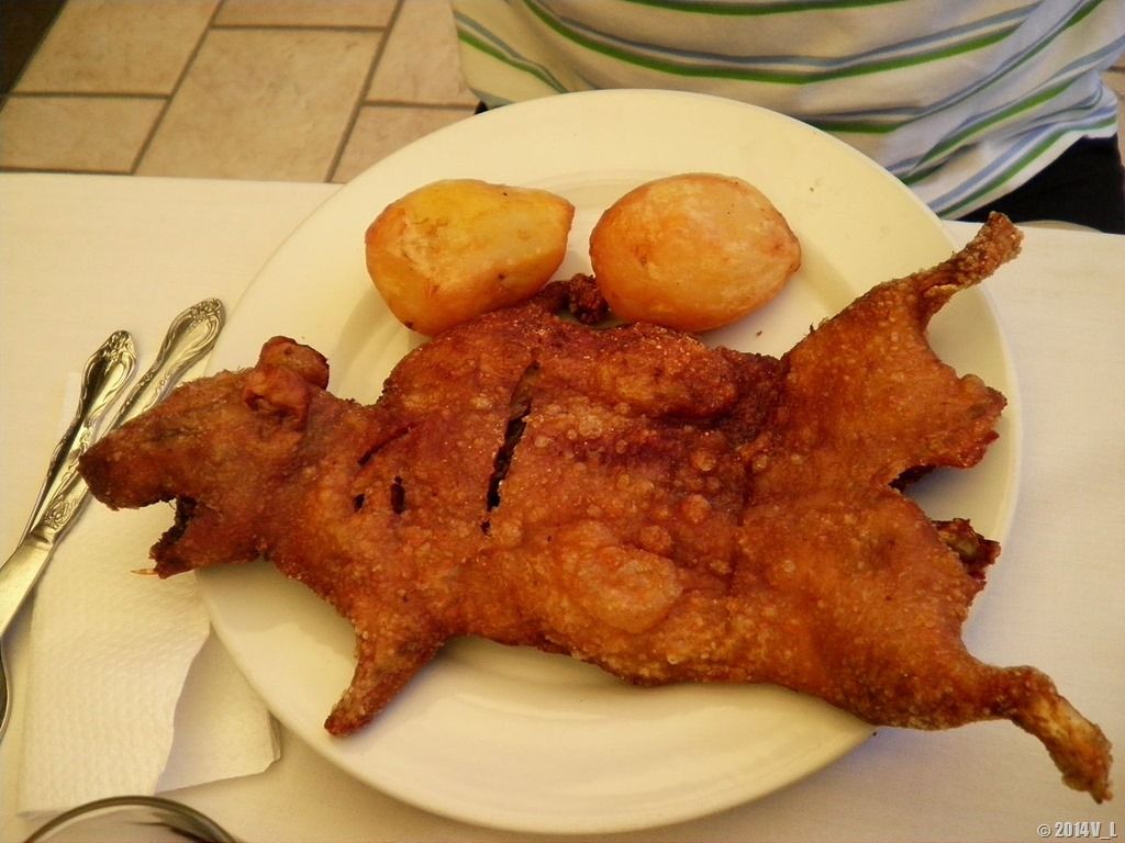 [극혐] 쥐 튀김 먹어봤냐...