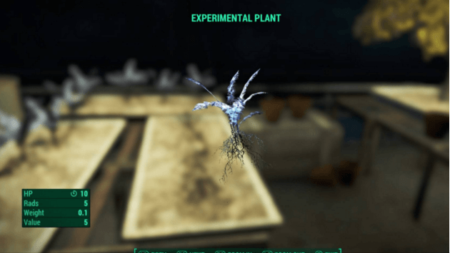 A connection has been found that might prove Fallout and Skyrim are set in the same universe