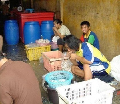 7dbd4c925871adf3dd1c53f60203fcaf