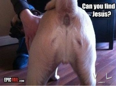 2d3cadf6540faa103de6fbf195412172